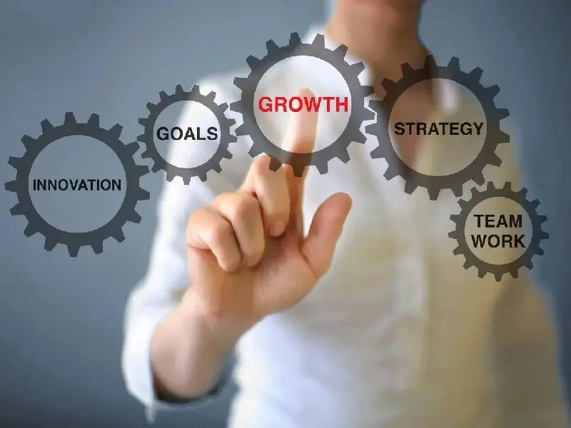 Business in the USA Today: Growth, Strategy, and Opportunity